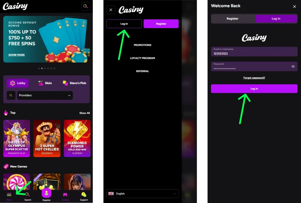 Casiny Login Interface for Australian Players