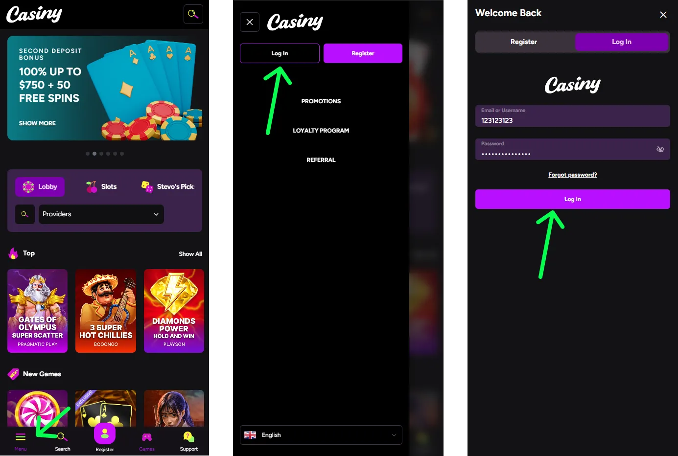 Casiny Login Interface