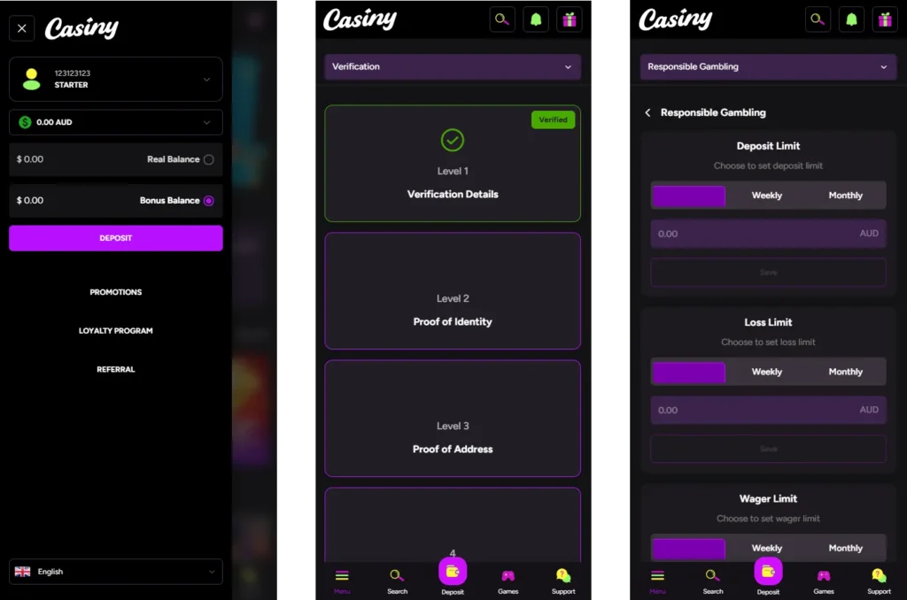 Casiny Login Interface
